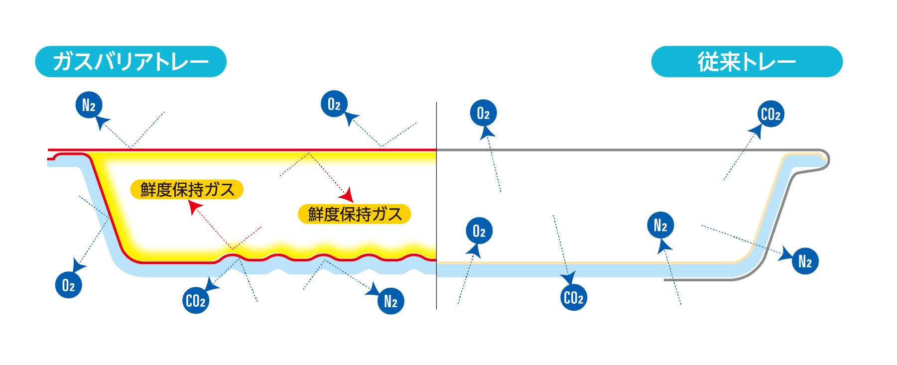 製品情報　バイオCT