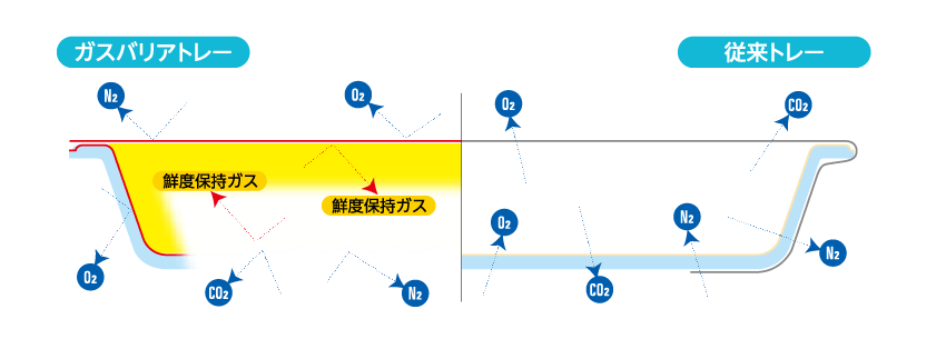 製品情報 Ever Value®